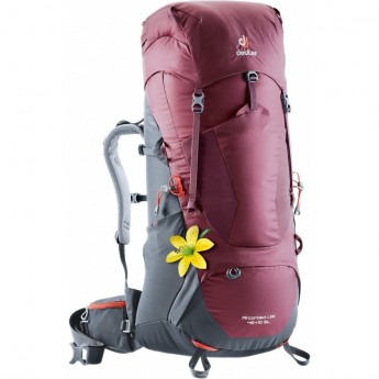 Рюкзак DEUTER AIRCONTACT LITE 45+10 SL Maron-graphite Рюкзак DEUTER AIRCONTACT LITE 45+10 SL Maron-graphite