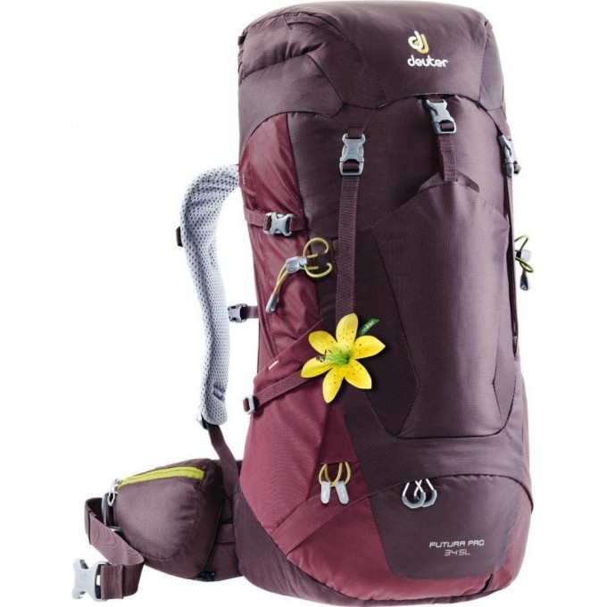 Рюкзак DEUTER FUTURA PRO 34 SL Aubergine-maron 3401018_5525